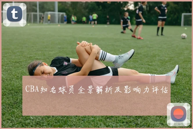 CBA知名球员全景解析及影响力评估