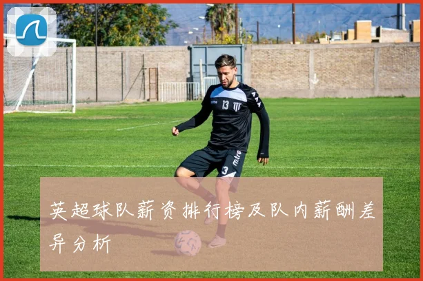 英超球队薪资排行榜及队内薪酬差异分析