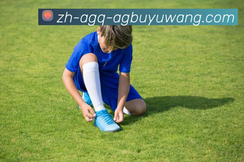 AG捕鱼王官网品牌故事